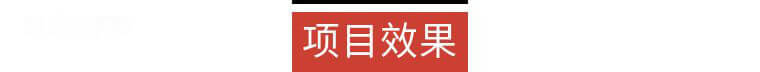 項(xiàng)目效果.png